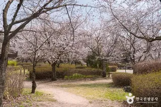 인천대공원