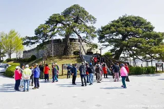 강화 초지진
