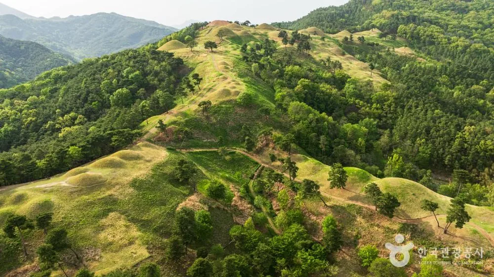 고령 지산동 고분군