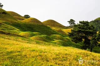 고령 지산동 고분군