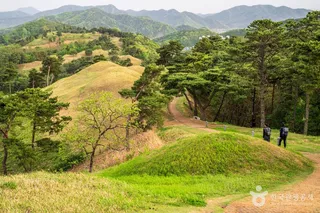 고령 지산동 고분군