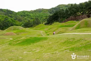 성주 성산동 고분군