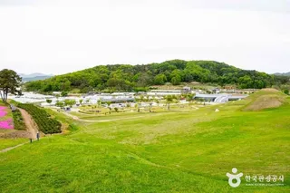 성주 성산동 고분군