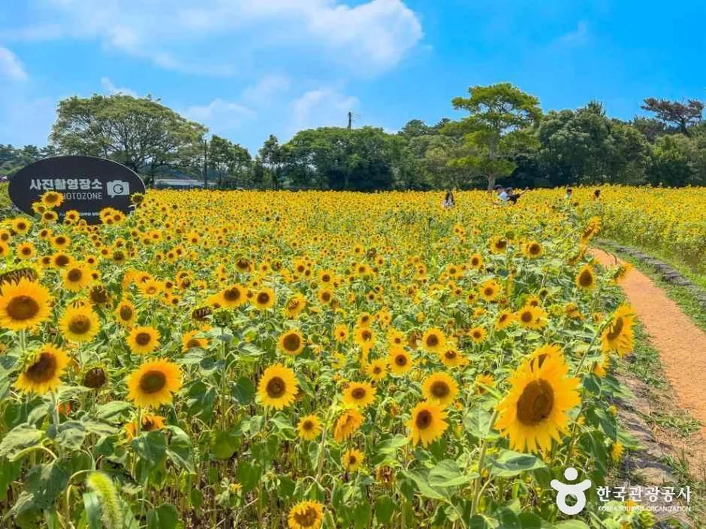 제주 항파두리 항몽 유적