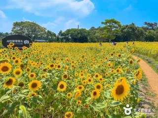 제주 항파두리 항몽 유적