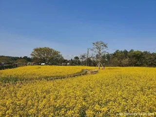 제주 항파두리 항몽 유적