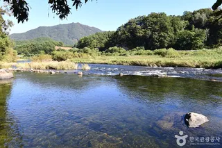 보성강