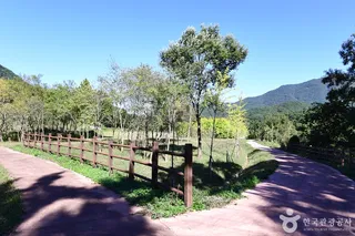 보성강