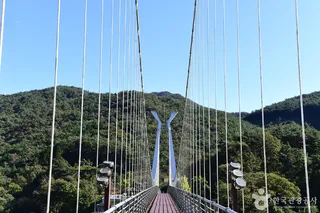 보성강