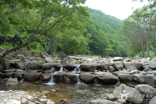 만산동계곡