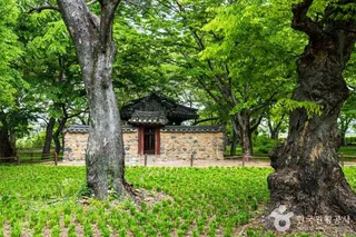 경주 계림