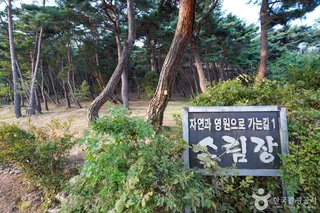 은해사(영천)
