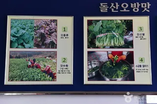 돌산갓 장터마을