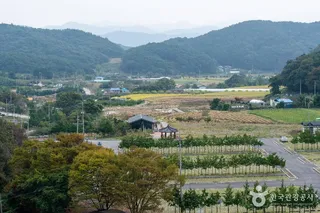 모암마을