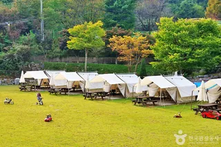 보광산관광농원