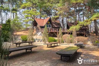 보광산관광농원