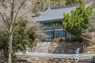 금둔사