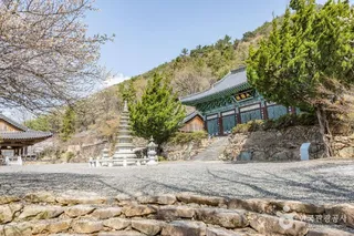 금둔사