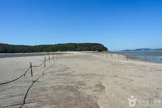 큰무리어촌체험마을