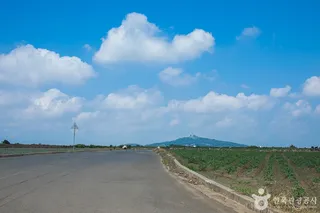 알뜨르비행장 및 일본군 비행기 격납고