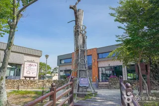 강주연못
