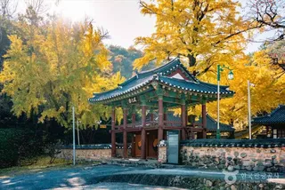 함안향교