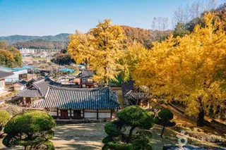 함안향교