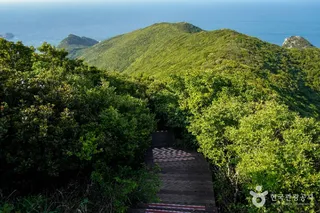 홍도 깃대봉