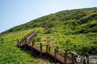 홍도 깃대봉