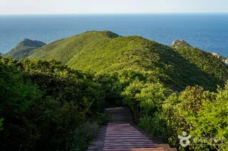 홍도 깃대봉