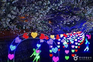 여좌천(여좌천로망스다리)