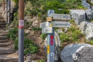 부산 암남공원