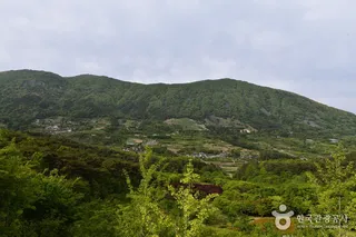 만연산