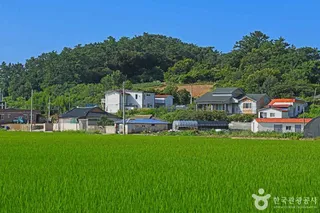정도마을