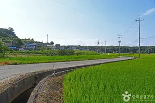 정도마을
