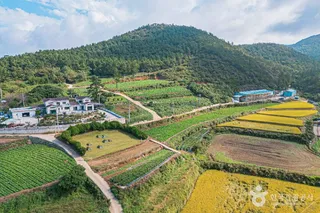 땅끝송호마을