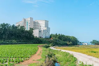 땅끝송호마을
