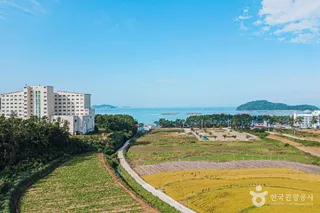 땅끝송호마을