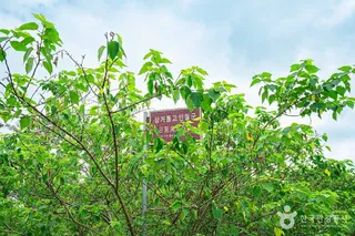 삼거동 고인돌