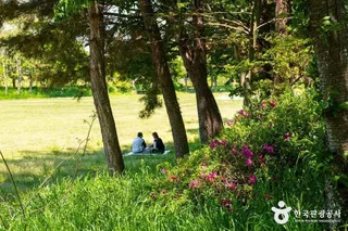 송산유원지