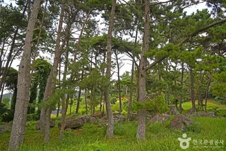 영광 성산리 지석묘군
