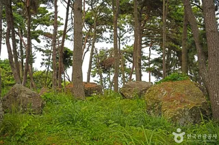 영광 성산리 지석묘군