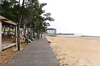 안악해변