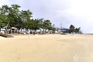 안악해변