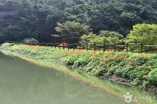 용천사 꽃무릇공원