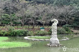 용천사 꽃무릇공원