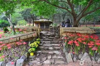용천사 꽃무릇공원