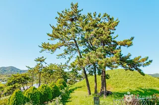 함평예덕리고분군