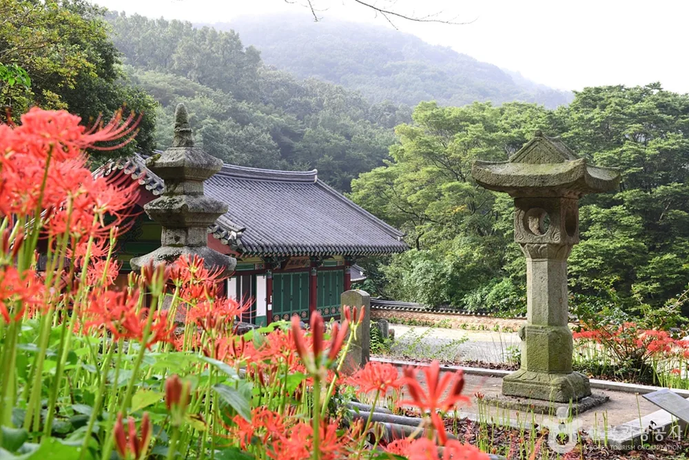 용천사(함평)