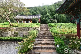 용천사(함평)